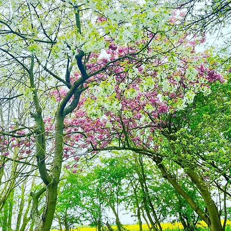 Feriengut-neuhof-wohnung-3